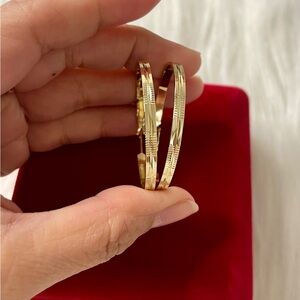 Elegant 14k Gold Filled Hoop Earrings